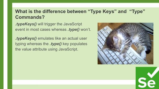What is the Diff between .typeKeys and .type Commands? | Selenium Interview Q&A | Under 60 Seconds смотреть онлайн