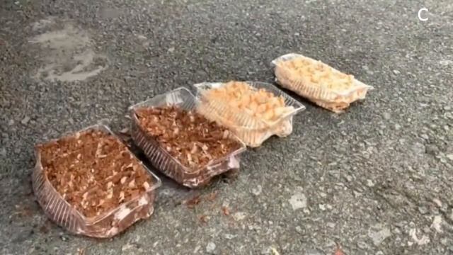 Creative experiment Decompression #008 смотреть онлайн