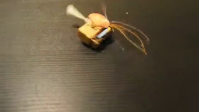 durga, gea,danu - autonomous device - the shell смотреть онлайн