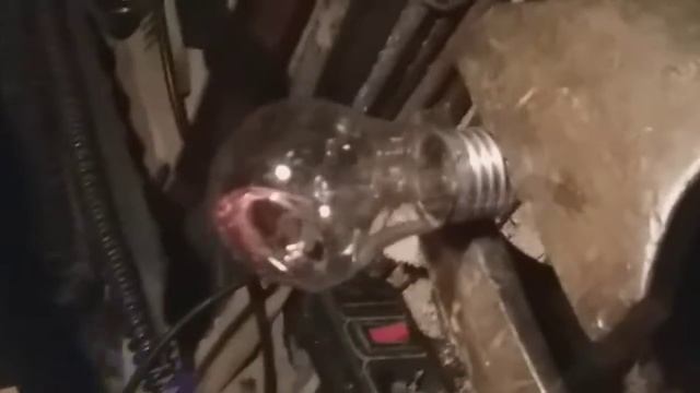 Мастерство и Жизненная Гармония