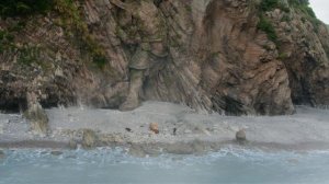 Легенда о мече и фее 1 сезон 1 серия