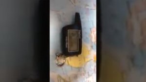 Брелок Scher-khan logicar 3