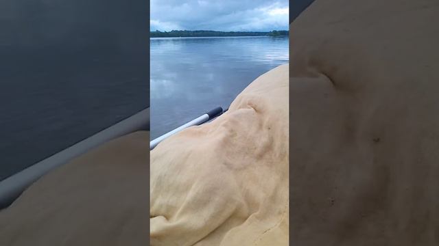 обские просторы смотреть онлайн