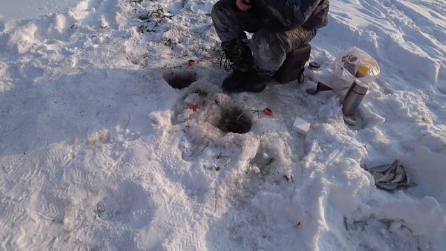 Удачная рыбалка в Кононово на Енисее (Забока). Ловим ельца 25.02.18 (ДЕНЬ ПЕРВЫЙ) смотреть онлайн