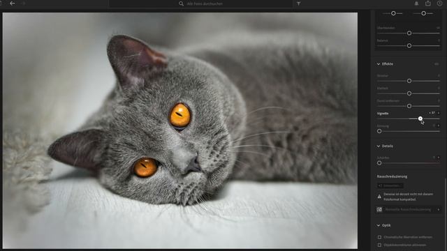 It Works! - Sigma 56mm F1.4 On Sony A7IV Fullframe Camera - APS-C Lens On Full-frame Camera