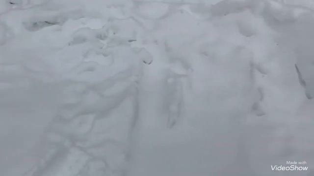 В тракторном плену😊. Покупки 🛍. In Tractor Captivity😊. Shopping🛍