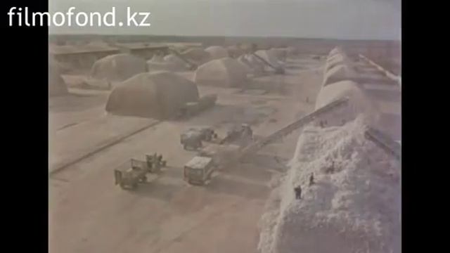 Чимкентская область (ЮКО, Шымкент, Туркестан), 1982 год