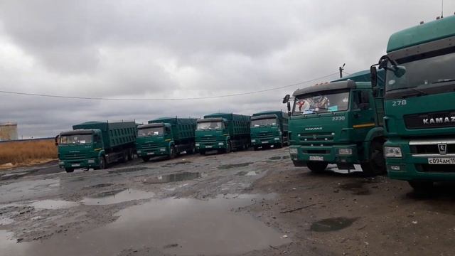 зерновозы в Верхней Хаве смотреть онлайн