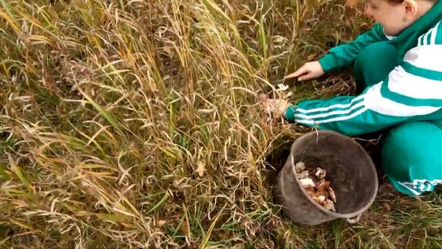 Сияющий результат