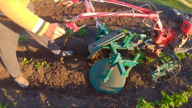 ПРЯЧЕМ КАРТОФЕЛЬ ОТ ЗАМОРОЗКА смотреть онлайн