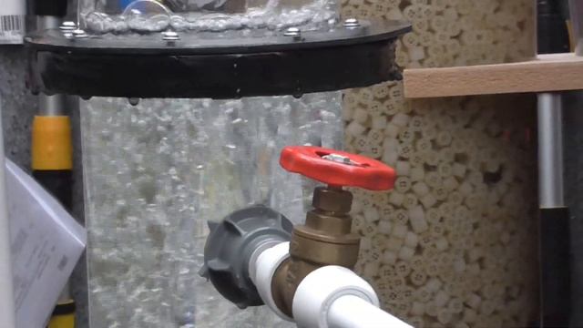 Adjusted Protein Skimmer and EA K+ Update смотреть онлайн
