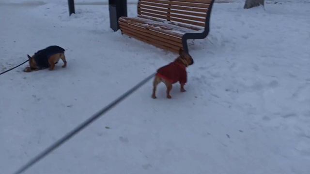 ПРОГУЛКА С ЛИЗУНАМИ. смотреть онлайн
