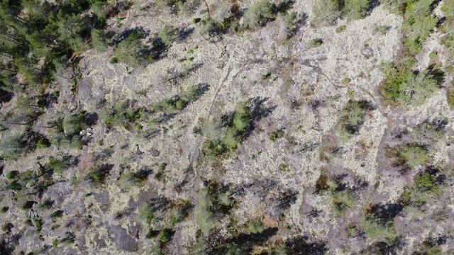 Полет вокруг монастырского озера на Путсаари остров святого Сергия. Макушка лета, 15 июля 2023 г