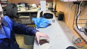 Восстанавливаем обогрев зеркала ТОЙОТА Corolla 2012г.