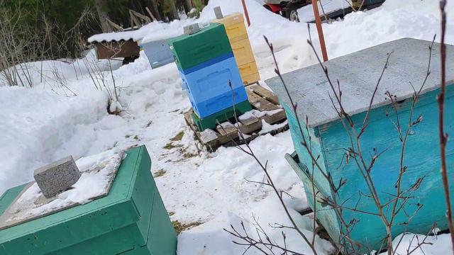 чем покрасить ульи. немного о зимовке пчел и потерях. также почему не люблю кормить пчел из пакетов смотреть онлайн