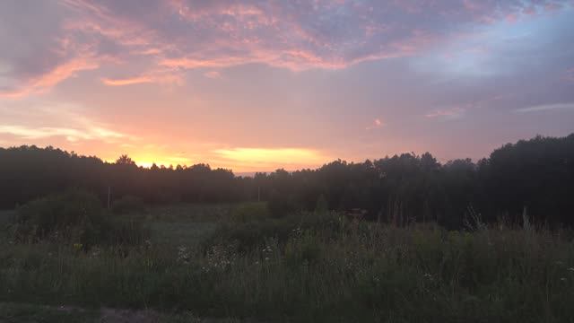 Самая быстрая рыбалка. смотреть онлайн
