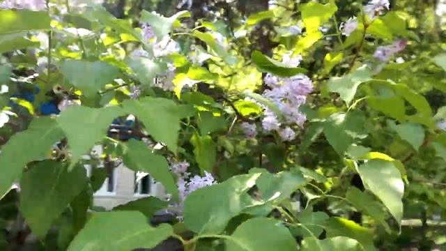 Закупка продуктов в АТБ и в мясном на 946 гривен (35$). Купили мороженое. Акции и цены в магазине смотреть онлайн