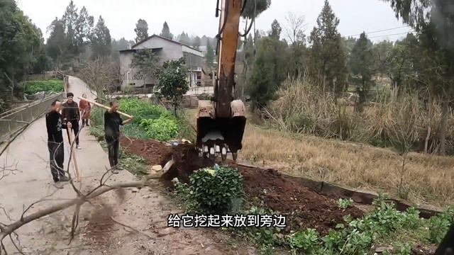 农村平整地基挖宽后面填前面 东家很满意 смотреть онлайн