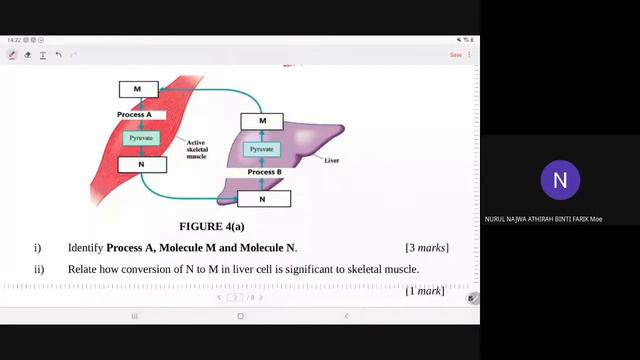 MOCK PSPM kml (question 1- 6) смотреть онлайн