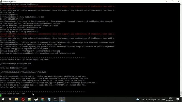 Ubuntu 18 04 2 LTS Install SSL WildCard Lets Encrypt 05092021 смотреть онлайн
