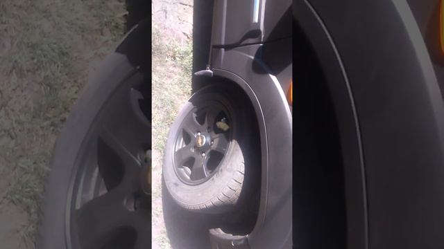 Raptor смотреть онлайн