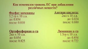 Чем лучше снизить pH воды? Эксперимент с Азотной, Ортофосфорной, Лимонной к-той и фосфатом мочевины
