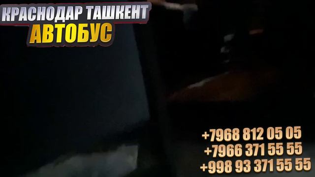 Краснодар Ташкент автобус 2023. Растов На-Дону-Ташкент автобус хизмати смотреть онлайн