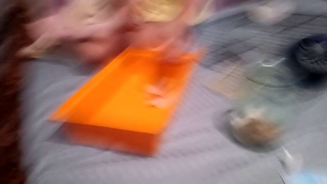 Уборка у Хомяков Хомки и Дашки❤️?