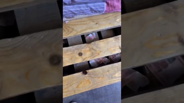 Как правильно хранить деньги смотреть онлайн