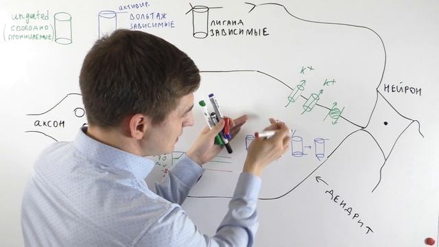 Потенциал действия смотреть онлайн
