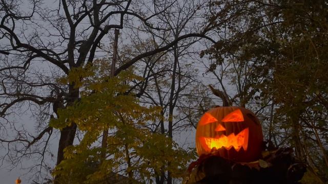 More Jack-O Halloween Ghoul Log - Wind, leaves, crows, owls and more смотреть онлайн