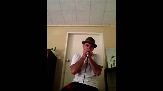 Bad Moon Rising on Harmonica смотреть онлайн