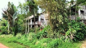 ВЬЕТНАМ ФУКУОК ЛУЧШИЕ ОТЕЛИ НА ОСТРОВЕ | MANGO BAY RESORT