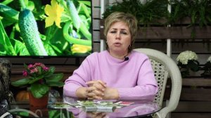 ТОП 6 Лучших Огурцов ? Для открытого Грунта ? ПЧЕЛООПЫЛЯЕМЫЕ СОРТА ОГУРЦОВ ?