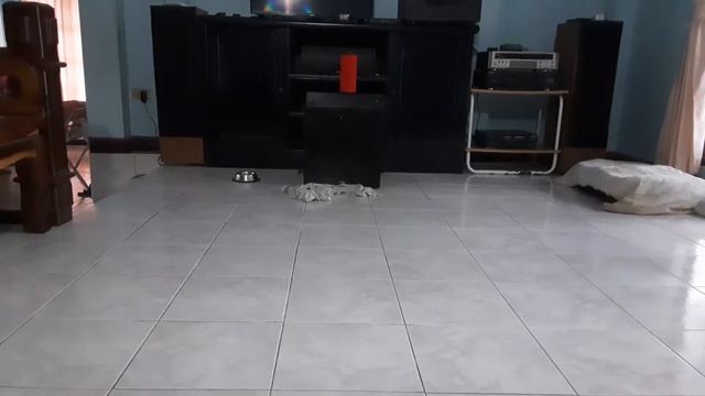 Tronsmart element T6 plus смотреть онлайн
