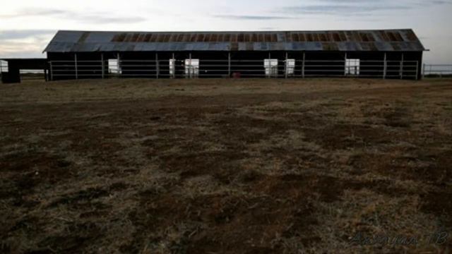 Город-призрак в США: Блафтон смотреть онлайн