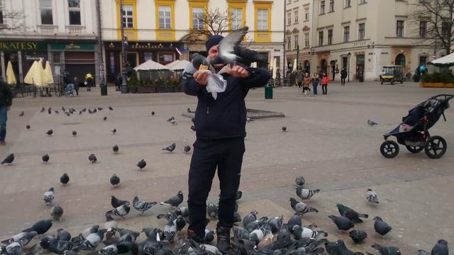 ?? Poland.  Kraków 8 Marca  Spacer Po Krakowie. #праздник#восьмое#март#poland#kraków