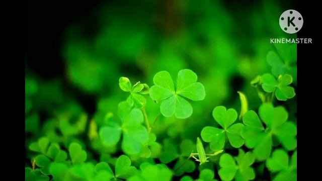 amd radeon pro price|amd radeon pro price|amd radeon pro 5300|Mrs.Wealth Tips смотреть онлайн