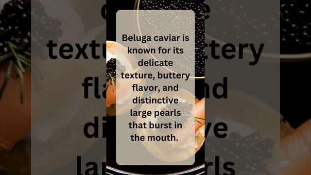 Beluga Caviar The World's Most Expensive and Prized Delicacy смотреть онлайн