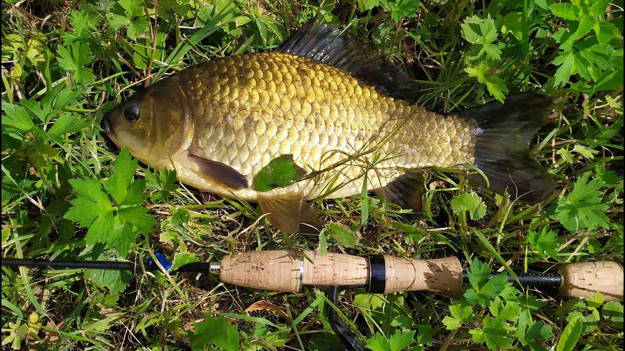 #170 Мормышинг | MUKAI Air Stick AS-1652-S 