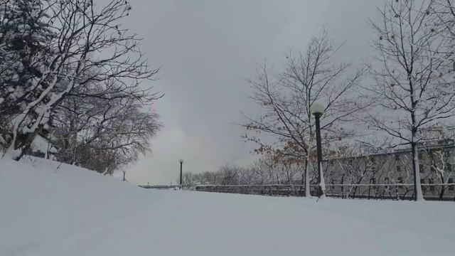 Winter in Ottawa, Canada 2023 смотреть онлайн