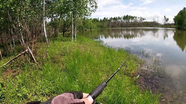 Змееголов в начале июня 3 число смотреть онлайн