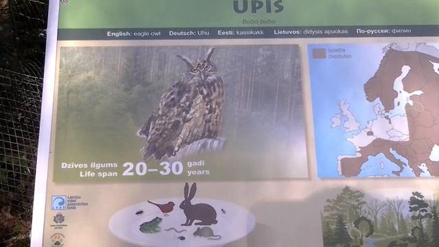 Лигатне парк с животными Латвия смотреть онлайн