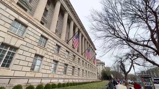 Вашингтон цветущая сакура / Washington DC Cherry Blossoms смотреть онлайн