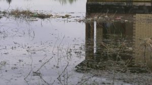 Десятки домов жителей Новой Усмани переулка Первомайский оказались в зоне подтопления