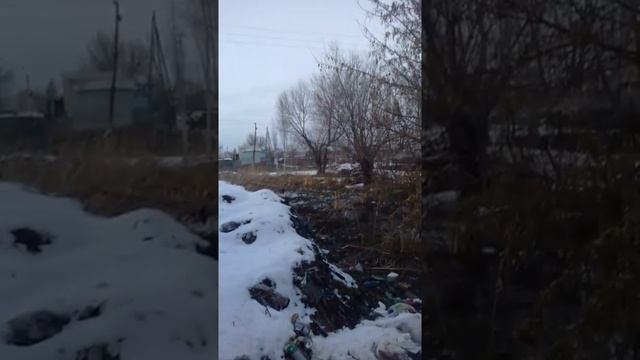 Аист зимой смотреть онлайн