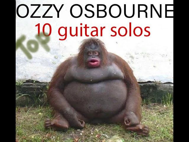 Zakk Wylde / Ozzy Osbourne - Top 10 guitar solos смотреть онлайн