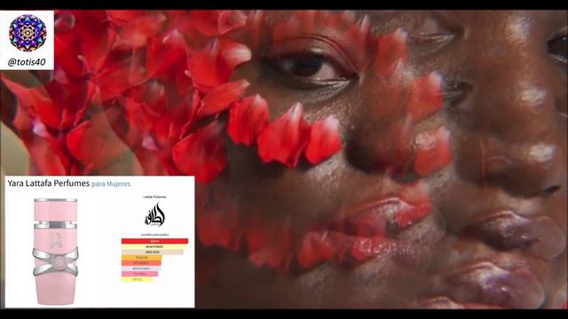 ✅YARA LATTAFA PERFUMES para Mujeres 🌸🌺: Reseña detallada y honesta SU DUPE CLON смотреть онлайн