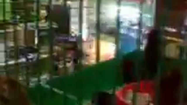 хомяки в отрыве! смотреть онлайн